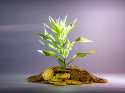 Entrepreneurs